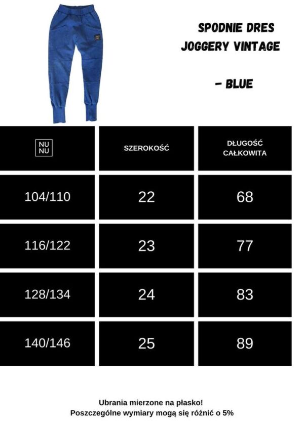 SPODNIE JOGGERY VINTAGE BLUE NUNU
